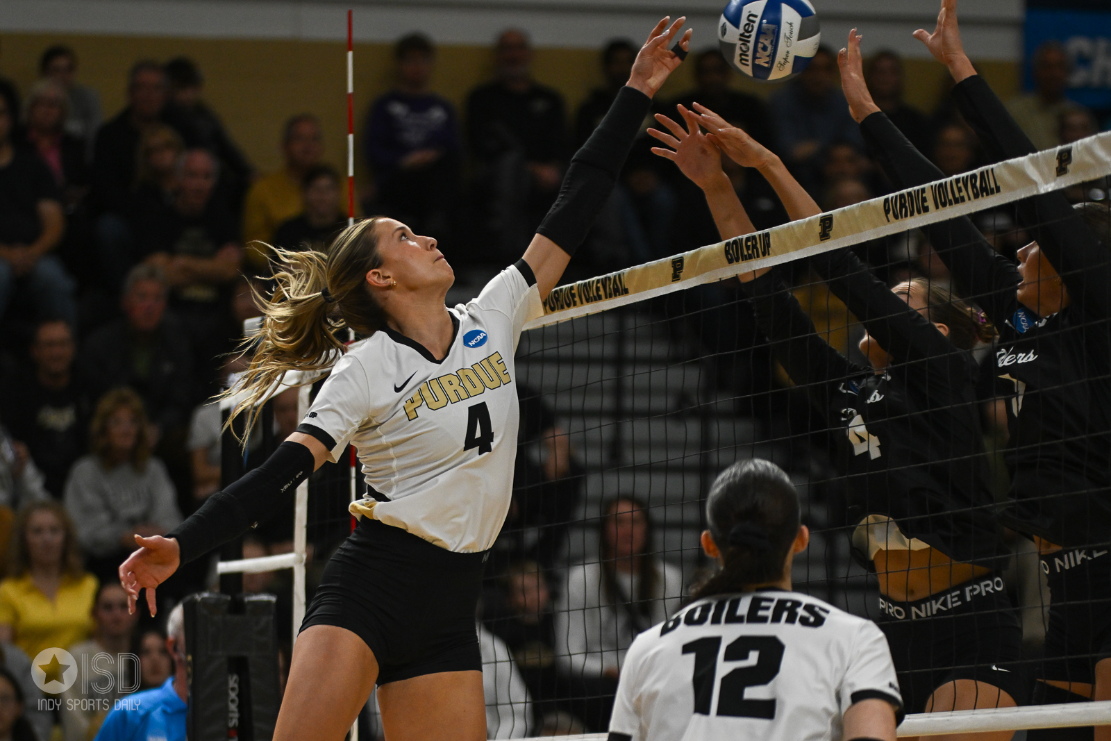 Purdue Rde Boilers Sweep Past Raiders: #3 Purdue Dominates Wright State in NCAA ...